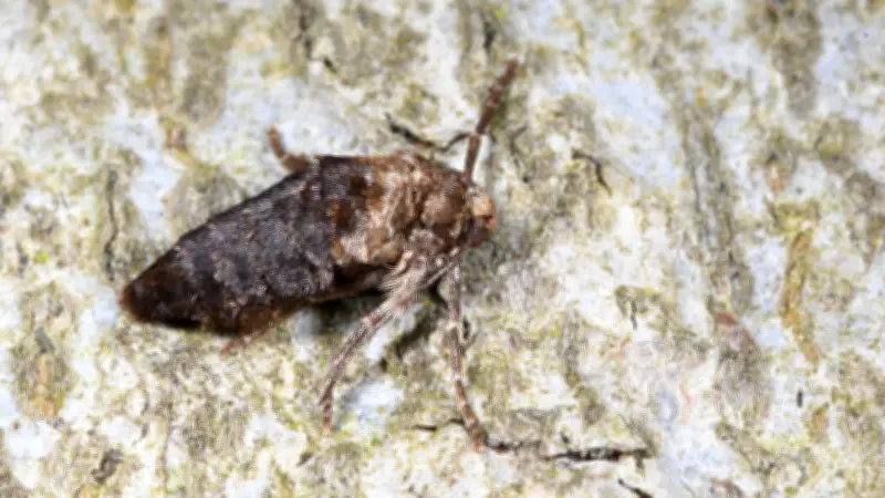 Tierische Nachbarn in Halle: Ein Jahr voller tierischer Entdeckungen in der Stadt