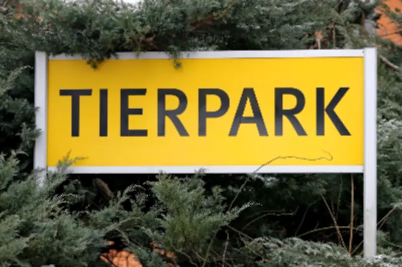 Tierpark Chemnitz hebt Schutzmaßnahmen nach Vogelgrippe-Ausbruch auf