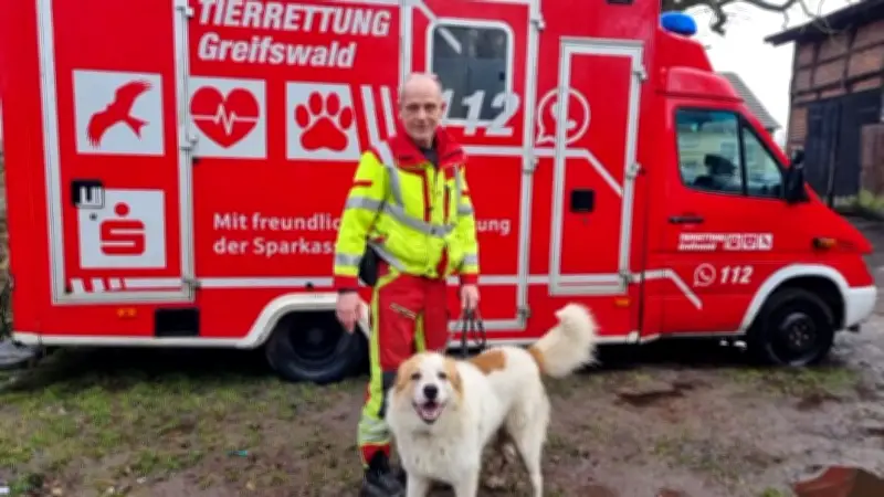 Tierrettungs-Chef nach Untreue-Vorwürfen verurteilt - Berufung angekündigt