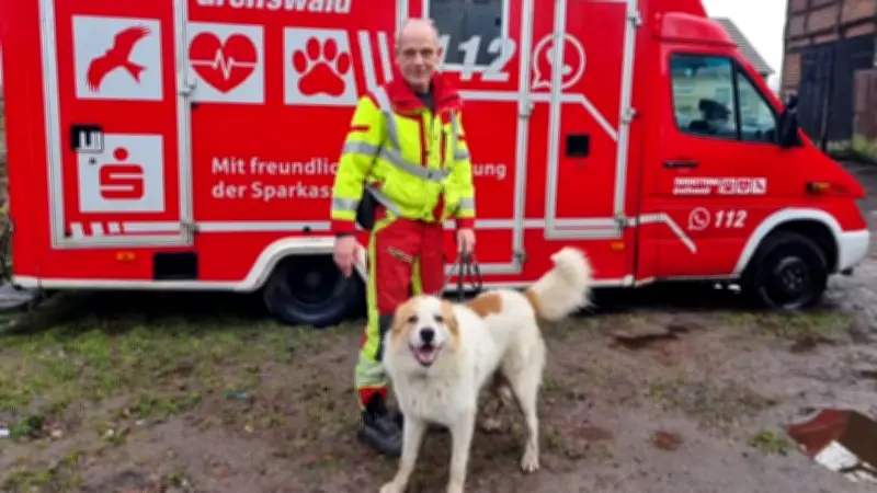 Tierrettungs-Chef wegen Untreue verurteilt - Erhebt schwere Vorwürfe gegen Landkreis