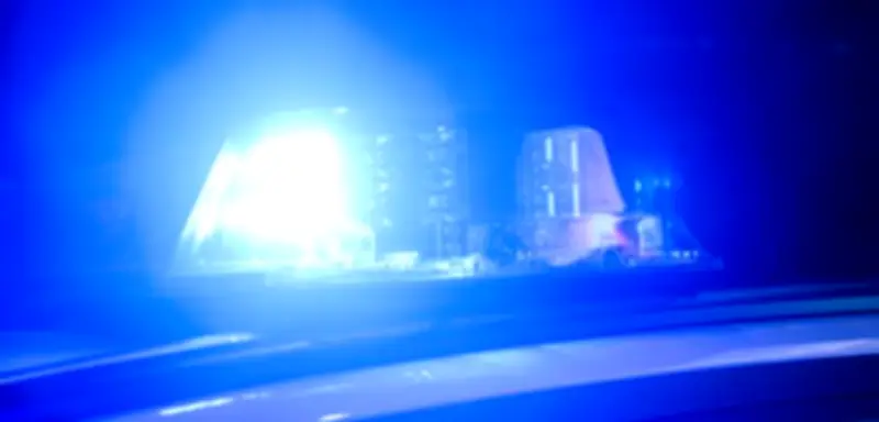 Tiertransporter-Unglück in Prignitz: Neun Bullen nach Lkw-Unfall weiter auf der Flucht