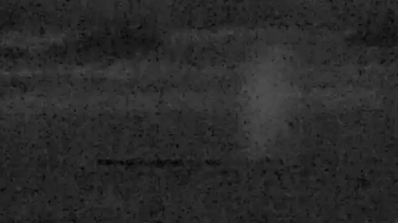 Timmy ist frei! Buckelwal schwimmt wieder in der Ostsee vor Wismar