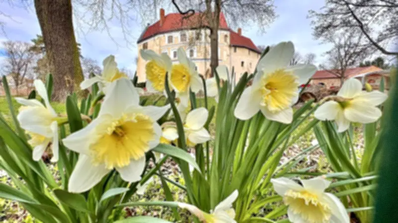 Traditioneller Ostermarkt auf Wasserburg Roßlau lockt mit Frühlingseröffnung