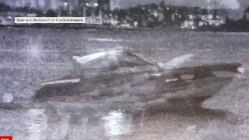 Tragödie vor Miami: Unternehmer stirbt bei Bootsunglück vor den Augen seines Sohnes