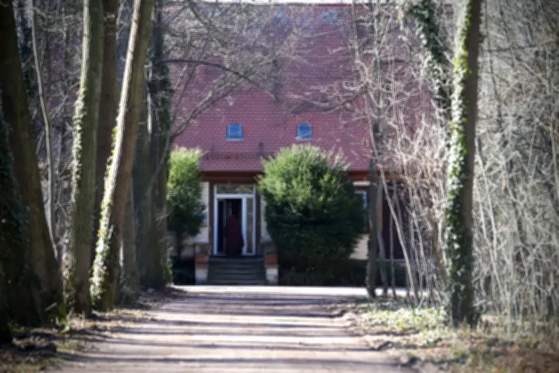 Tragisches Schicksal eines vermittelten Hundes aus dem Tierheim Köthen