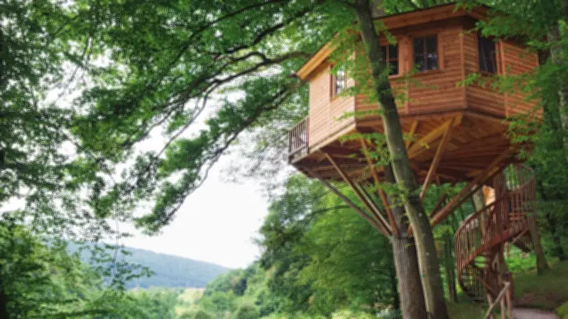Traum im Baum: 5 faszinierende Baumhaushotels für unvergessliche Nächte in Deutschland