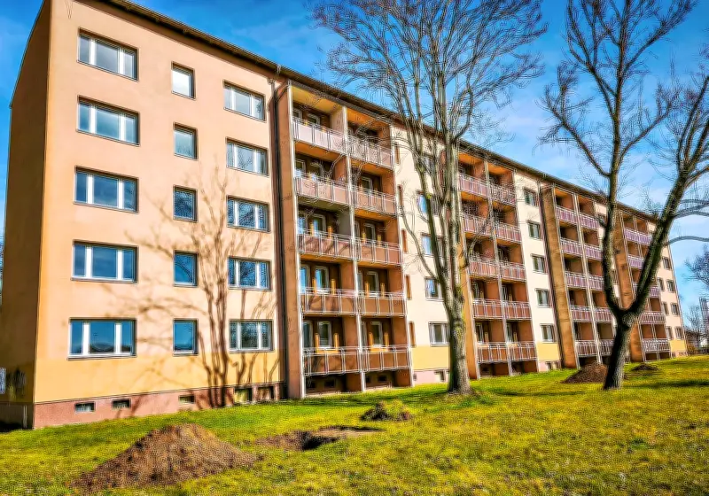 Trockenheit setzt Merseburgs Baumbestand zu: Pappeln müssen weichen