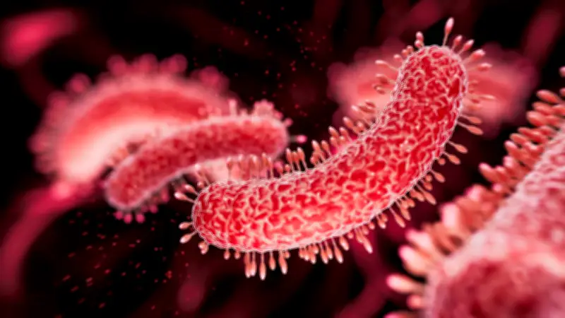 Tuberkulose-Fälle an Dresdner Schulen: Kontaktpersonen werden umfassend getestet