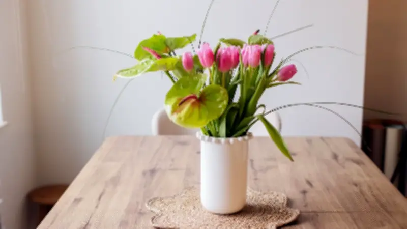 Tulpen: Die giftige Seite der beliebten Frühlingsblumen für Mensch und Tier