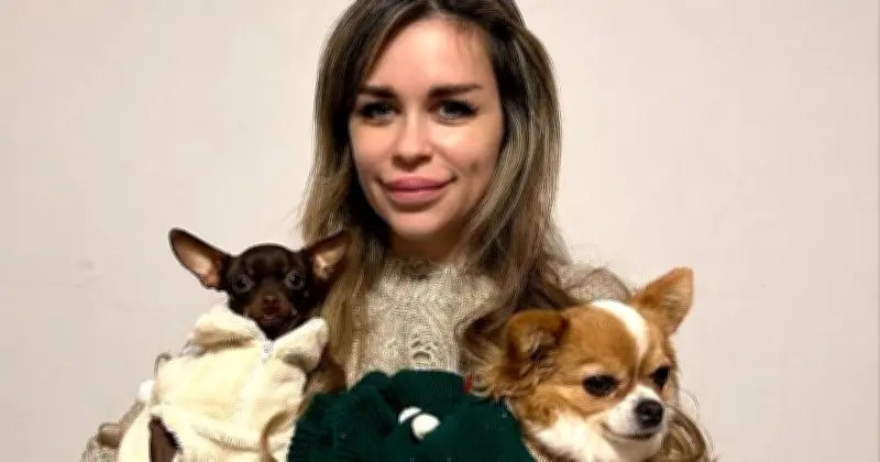 TV-Star Ingrid Pavic sucht Wohnung mit vier Hunden: Bietet sich als Erbin an