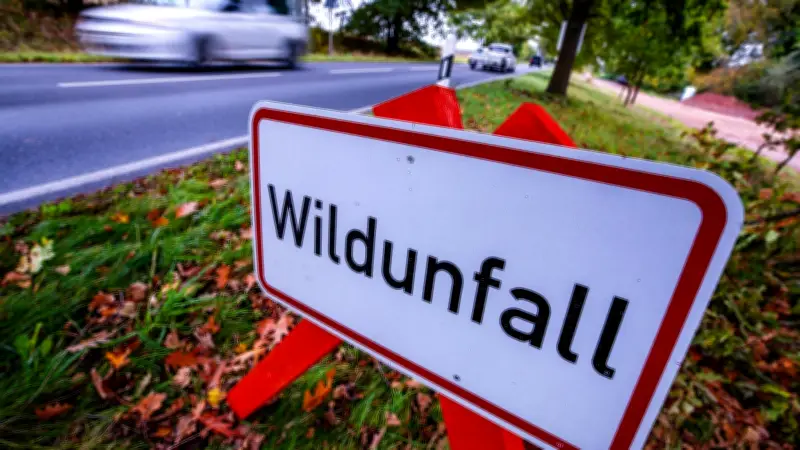 Uckermark: Sieben Wildunfälle und Alkoholkontrollen übers Wochenende