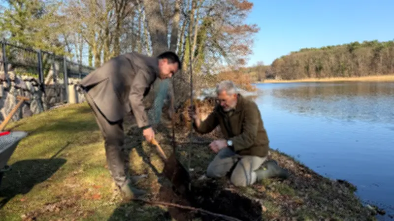 Uferweg Templin: Neue Bäume als Zeichen gegen Vandalismus und Naturschutz-Konflikt