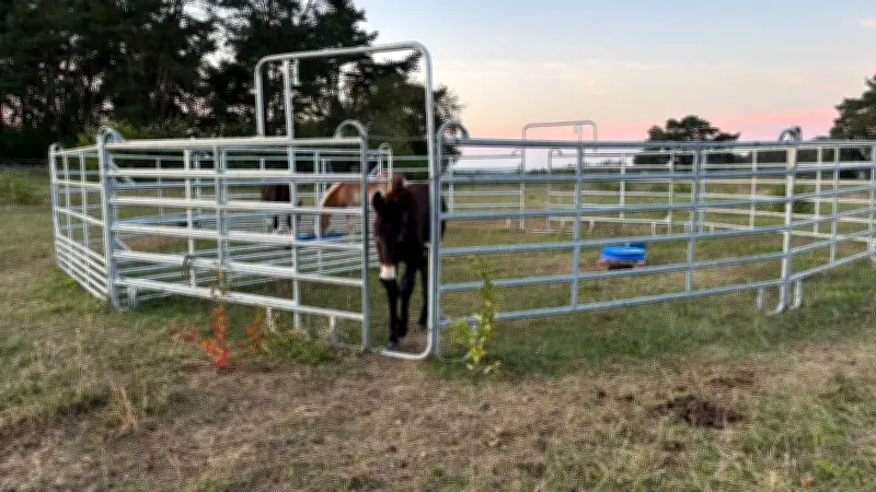 Unglaublicher Diebstahl in der Uckermark: Ganzes Gatter auseinandergebaut und abtransportiert