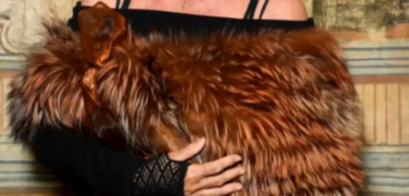 Ursula Andress: Italienische Ermittler beschlagnahmen 20 Millionen Euro an Luxusgütern