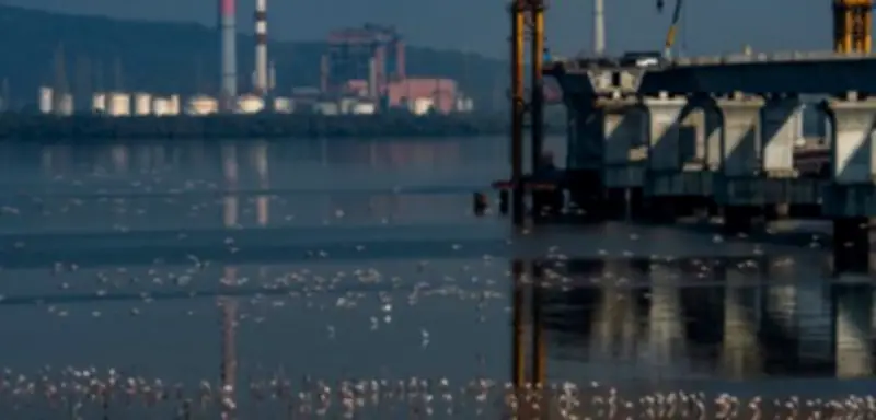 USA lockern Ölembargo: Indien darf 30 Tage russisches Rohöl kaufen