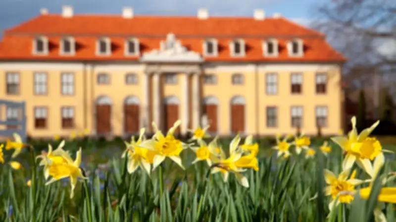 Vandalismus am Schloss Mosigkau: Wachschutz entdeckt beschädigte Gewächshaus-Scheiben