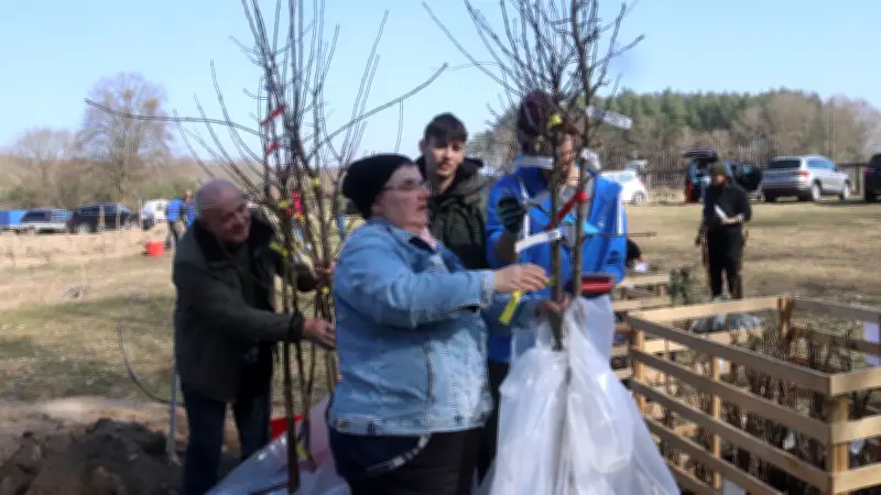 Verein Guter Heinrich bietet über 300 Obstbaumsorten zum Verkauf in Waldeshöhe