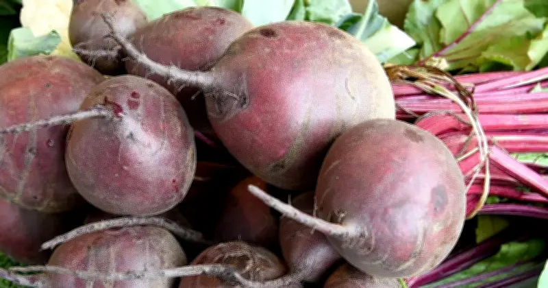 Verfahren zu Rote-Bete-Einsatz in Biofleisch eingestellt – Gericht hebt Bescheid auf