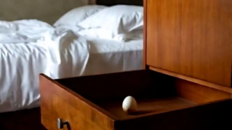 Vergessene Souvenirs: Kuriose Fundstücke in Ferienwohnungen amüsieren Vermieter