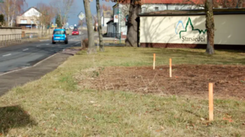 Verkehrsinsel in Starsiedel: Beruhigung mit Widerstand - Ortsbewohner skeptisch