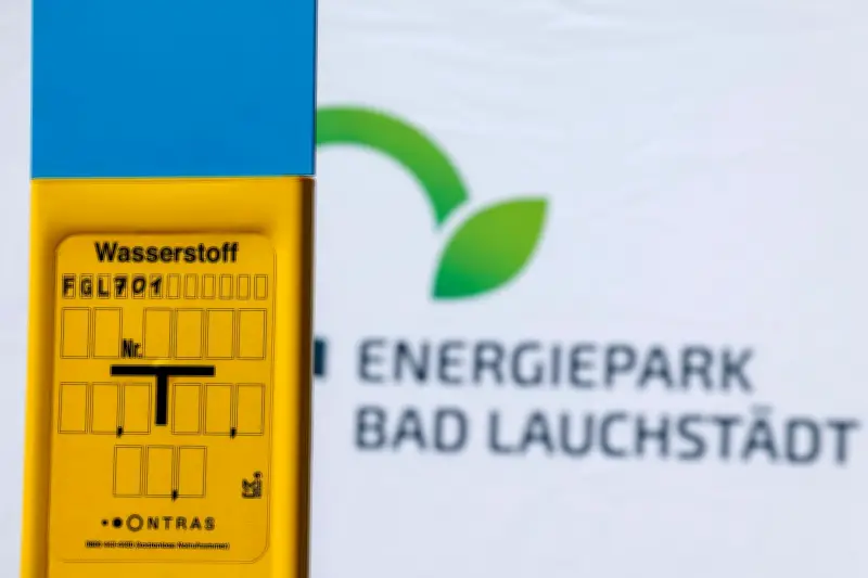 VNG-Chef warnt vor leerem Wasserstoffnetz: Genehmigungen und Kosten bremsen Hochlauf