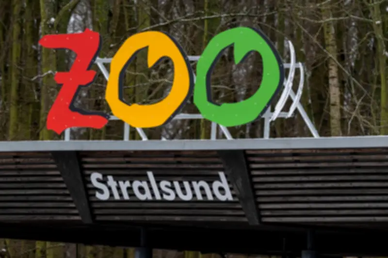 Vogelgrippe-Alarm im Zoo Stralsund: Tierpark schließt nach Virusnachweis