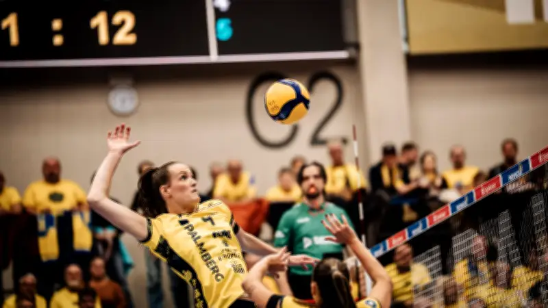 Volleyball-Bundesliga: Schwerin setzt gegen Stuttgart auf ungeschlagene Heimstärke