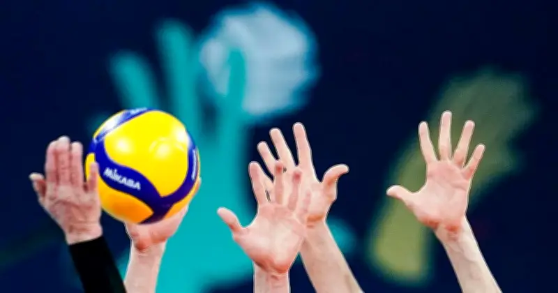 Volleyball-Fusion in Bayern: Herrsching und Haching werden zu WWK Volleys München