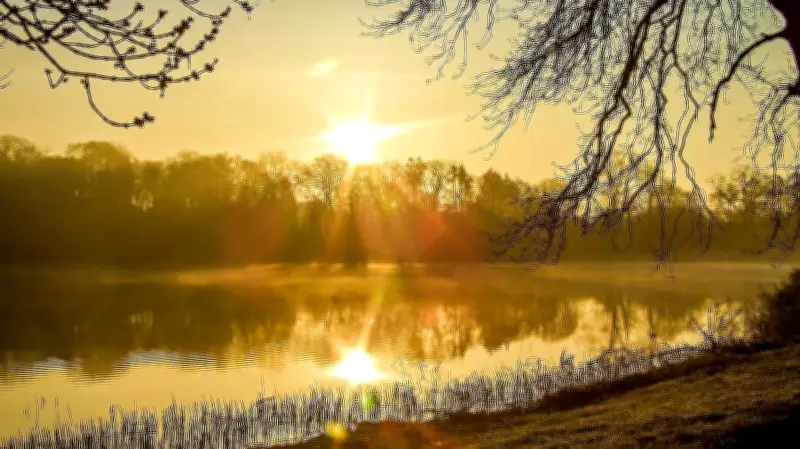 Vorpommern als Drehscheibe: Tausende Zugvögel aus russischen Tundren rasten in der Region