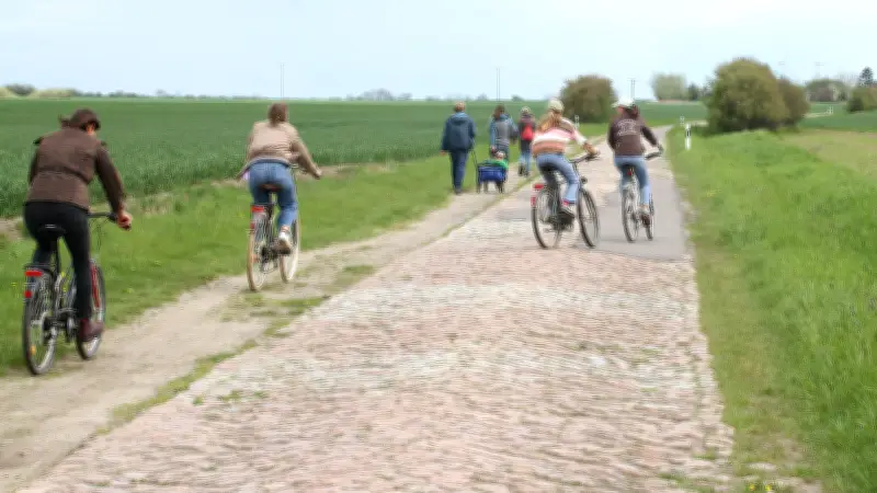 Vorpommern: Drei Kreisstraßen werden 2026 grundhaft saniert - Vollsperrungen notwendig