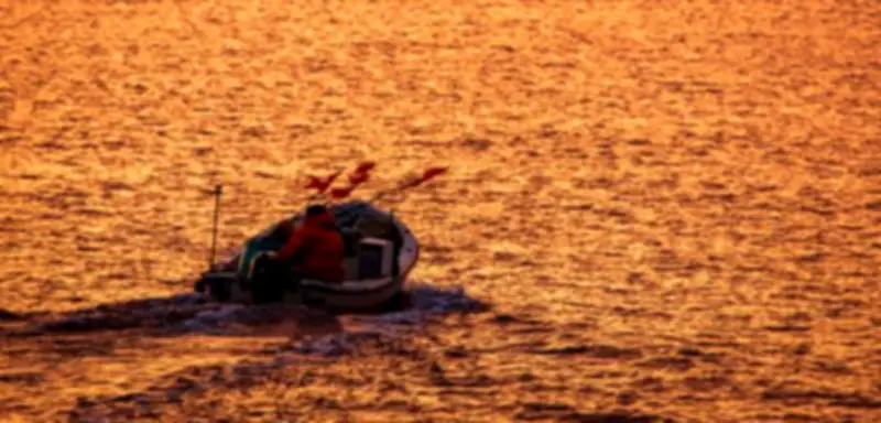 Wal in Fischernetz vor Ostseeküste befreit: Möglicherweise alter Bekannter aus Wismar