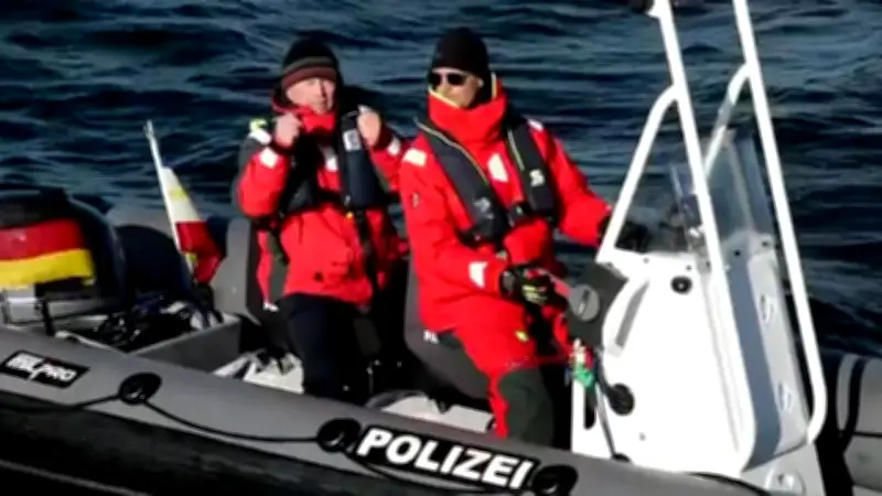 Wal in Not: Kann sich Timmy selbst befreien? Retter hoffen auf ein Wunder