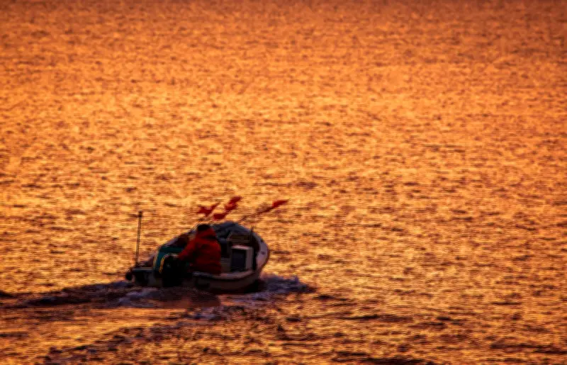 Wal vor Ostseeküste in Fischernetz verfangen - Rettungseinsatz mit ungewissem Ausgang