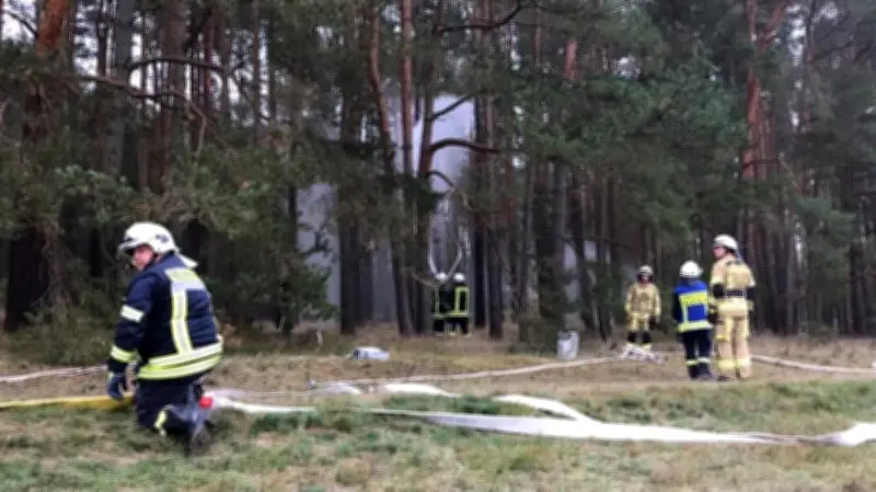 Waldbrandgefahr in Mecklenburg-Vorpommern steigt: Trockenheit erhöht Risiko