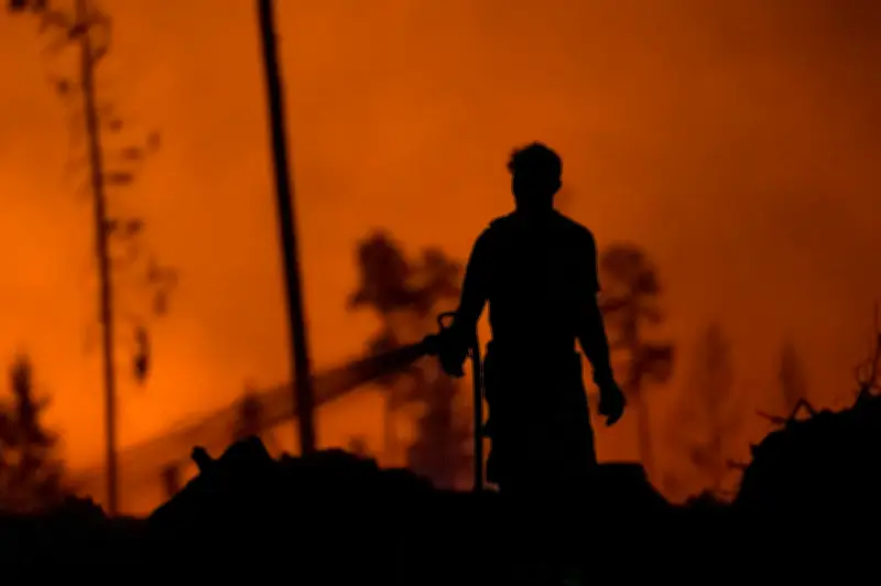 Waldbrandgefahr in Ostdeutschland: Regionen rüsten nach Großfeuern auf
