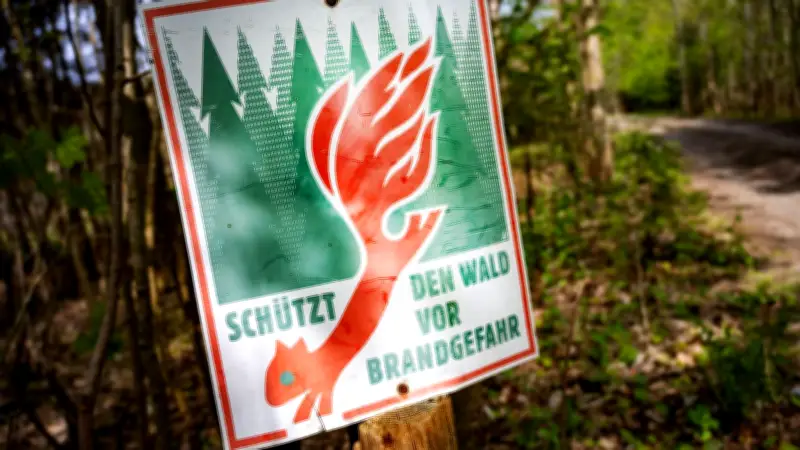 Waldbrandgefahr steigt: Forstamt Poggendorf warnt vor Feuer in Wäldern bei Demmin