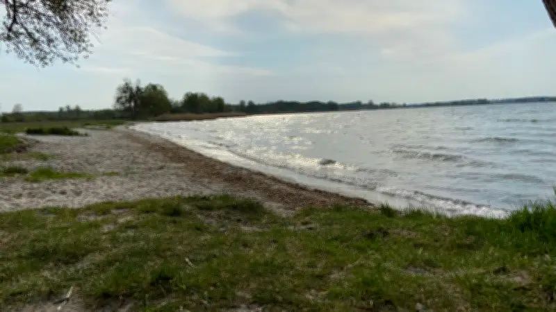 Wassermusik an der Müritz: Kreative Klangaktion macht auf niedrige Wasserstände aufmerksam