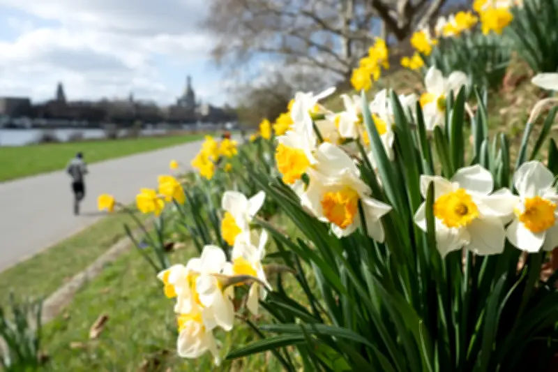 Wechselhaftes Wetter am Samstag: Sonniger Start, dann winterlicher Einbruch mit Schnee