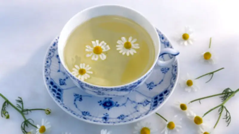 Weißer Tee: Die milde und gesunde Alternative für Tee-Einsteiger