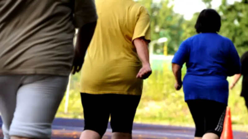 Welt-Adipositas-Tag: Experten erklären wirksame Behandlungsansätze bei Übergewicht