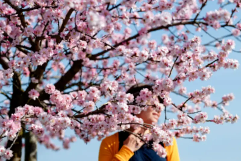 Weltglückstag: Psychologin verrät einfache Alltagsexperimente für mehr Zufriedenheit