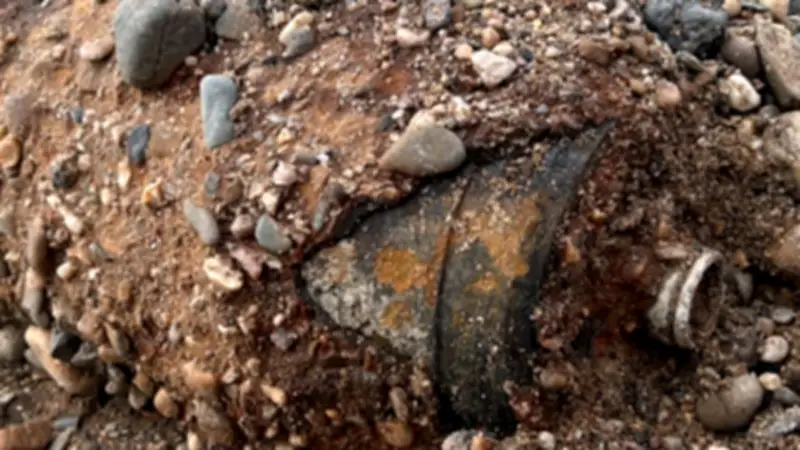 Weltkriegsbombe in Dresden erfolgreich entschärft: 17.000 Menschen evakuiert