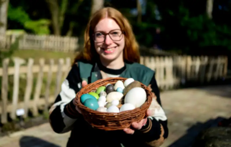 Weltvogelpark Walsrode: Nachwuchs bei bedrohten Arten und neue Attraktionen nach Vogelgrippe