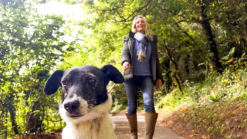 Wenn Hunde auf Durchzug schalten: Warum Routine-Spaziergänge zum Problem werden