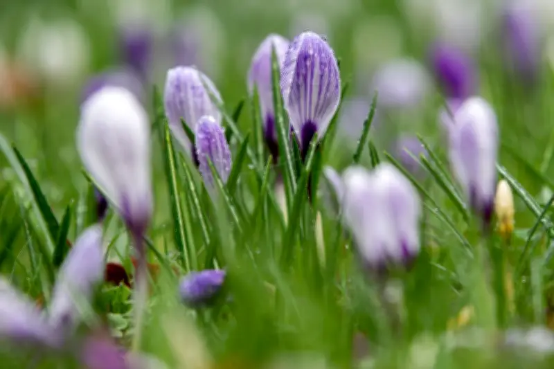 Wetter in Niedersachsen und Bremen: Nach Regen und Wind folgt ein frühlingshafter Mittwoch