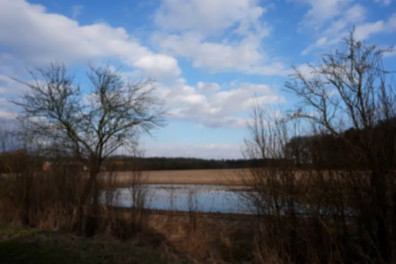 Wetterumschwung im Norden: Regen, Gewitter und stürmische Böen erwartet