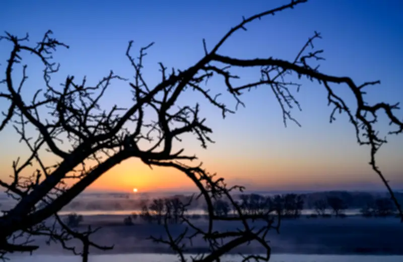 Wetterwende am Wochenende: Nach Regen und Frost kehrt die Sonne nach Berlin und Brandenburg zurück