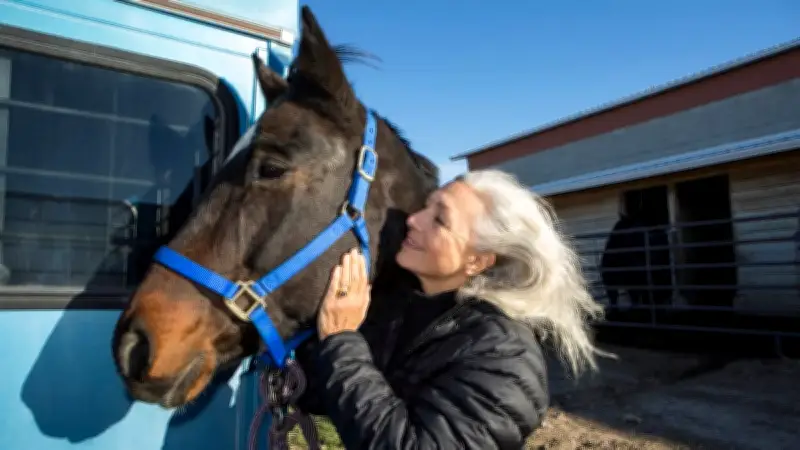 Wie alt werden Pferde wirklich? Faktoren für ein langes Pferdeleben