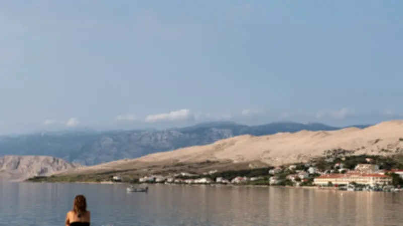 Wildschwein-Invasion bedroht kroatische Urlaubsinseln und ihre Ökosysteme