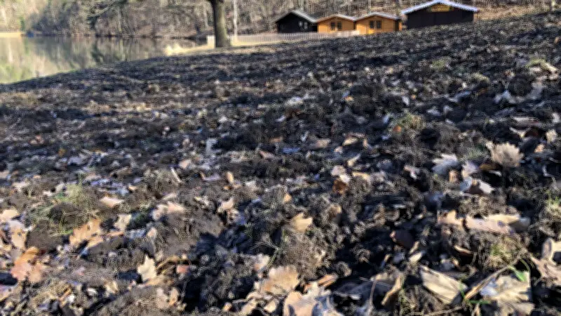 Wildschweine verwüsten Waldbad Osterteich: Zaunanlage als Schutzmaßnahme geplant